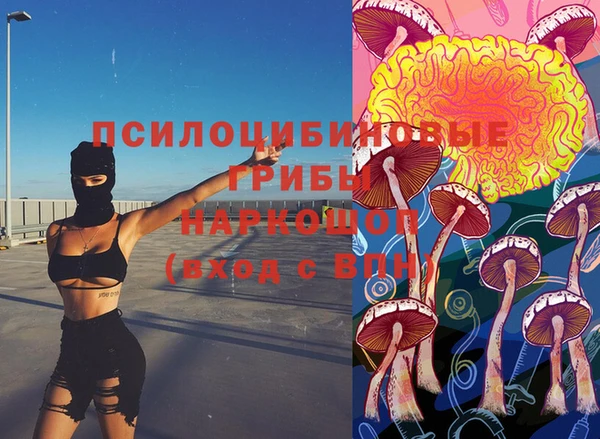 2c-b Алексеевка
