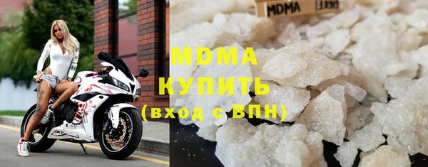прущие грибы Инта